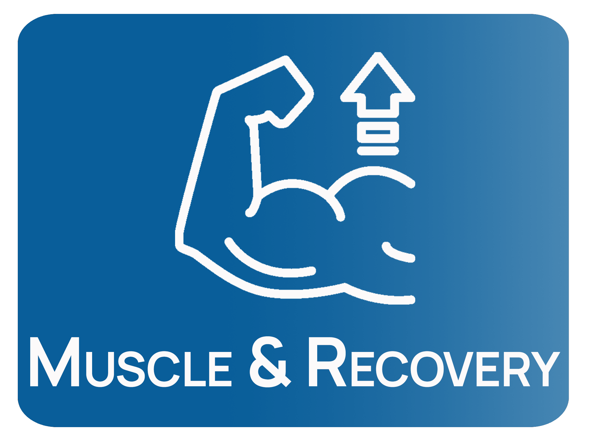 Muscle & Recovery - Intense Wellness