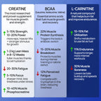 Creatine Gummies, BCAAs + L-Carnitine