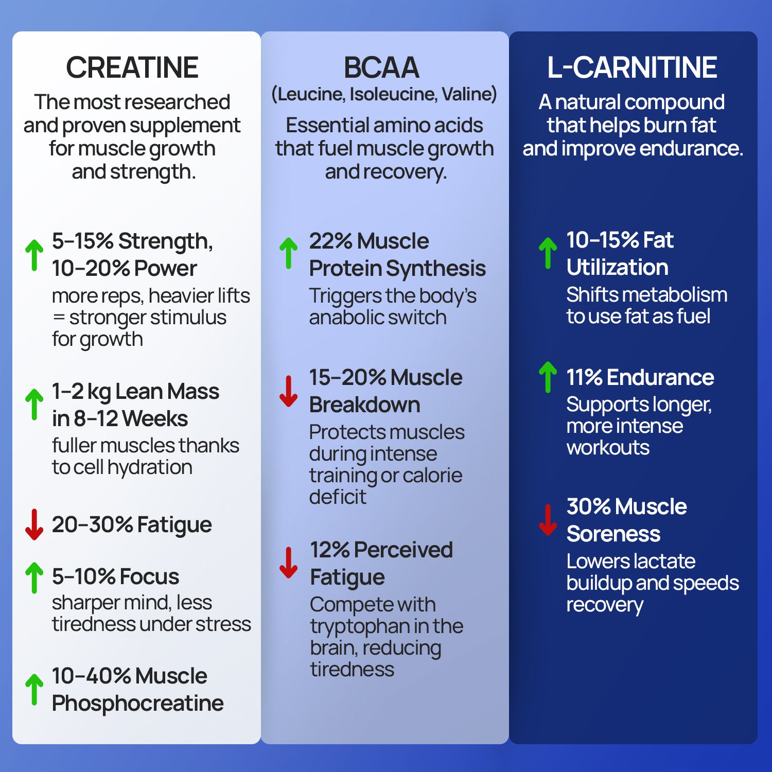 Creatine Gummies, BCAAs + L-Carnitine